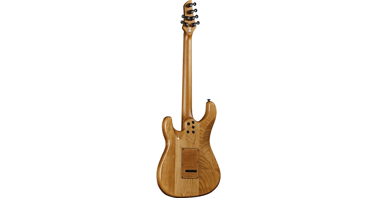Eko Guitars Aire 601 Lignum