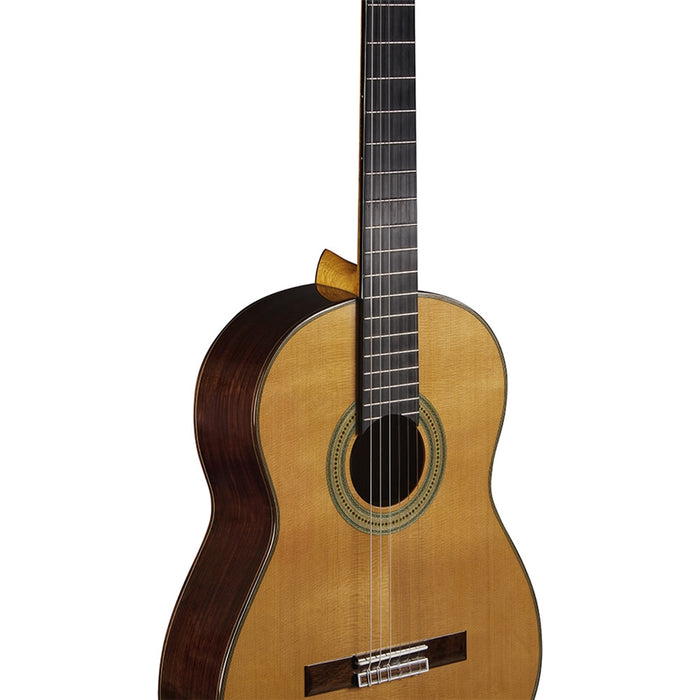 Eko Guitars Vibra 500 Mario Gangi