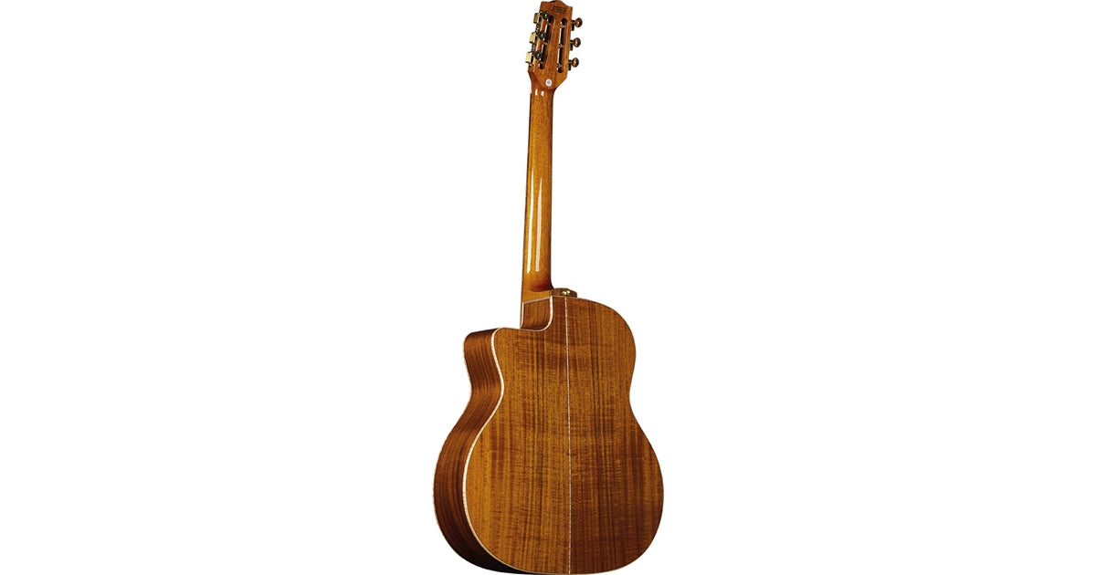 Eko Guitars Alps G450c Gipsy