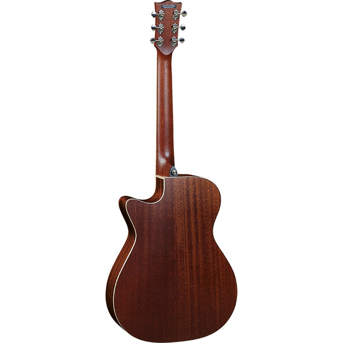 Eko Guitars Evo A350ce