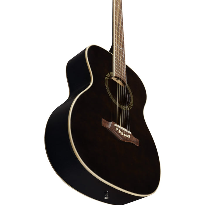 Eko Guitars NXT A100 See Through Black