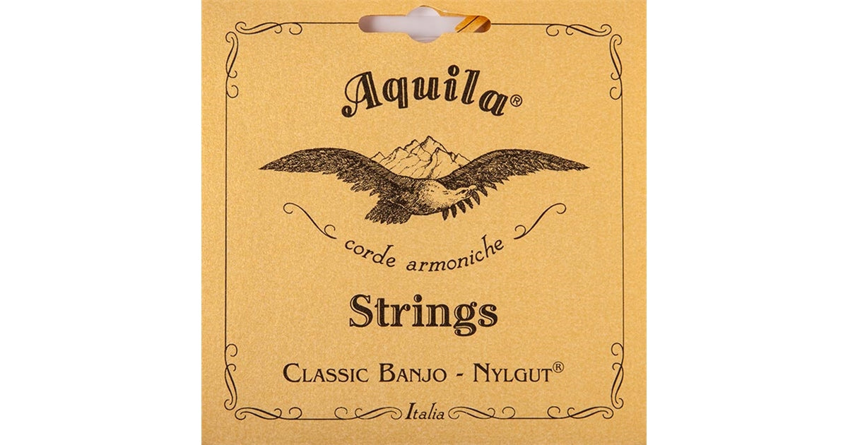 Aquila 2B Nylgut Banjo Set, DBGDG