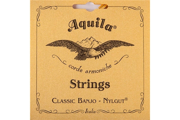 Aquila 2B Nylgut Banjo Set, DBGDG