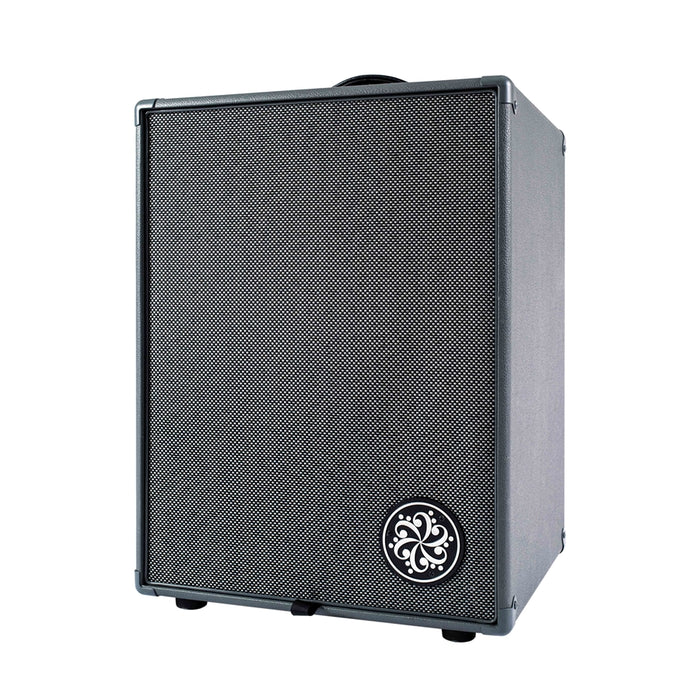 Darkglass D210D Bass Combo