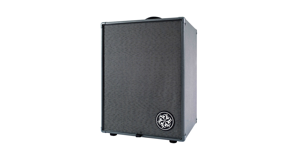 Darkglass D210D Bass Combo