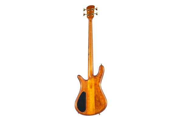 Spector DW-4 Amber