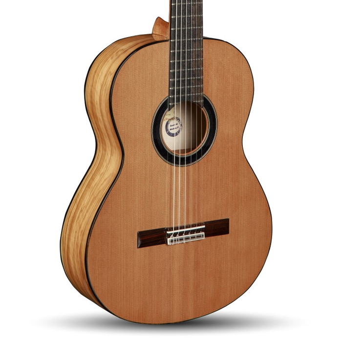 Alhambra 6+ gig bag