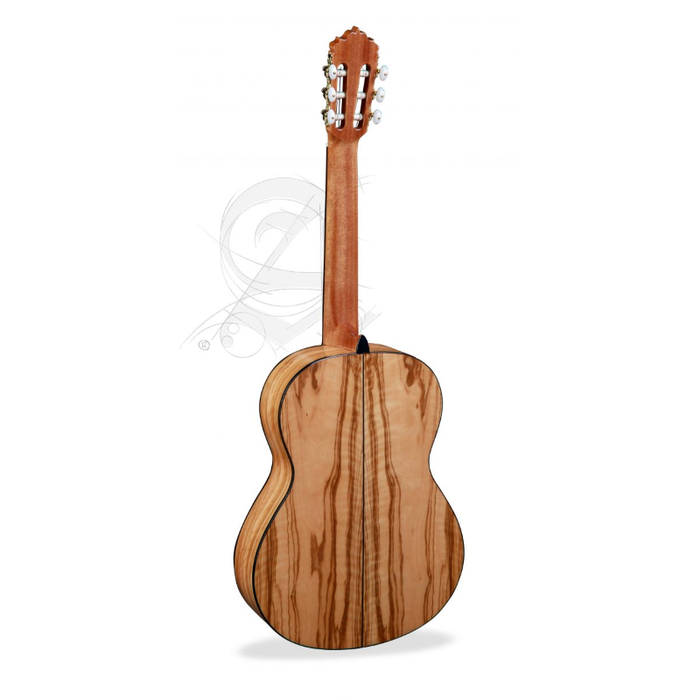 Alhambra 6+ gig bag