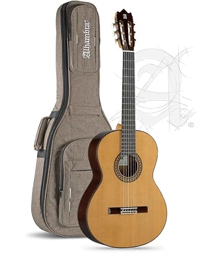 Alhambra 2C + gig bag