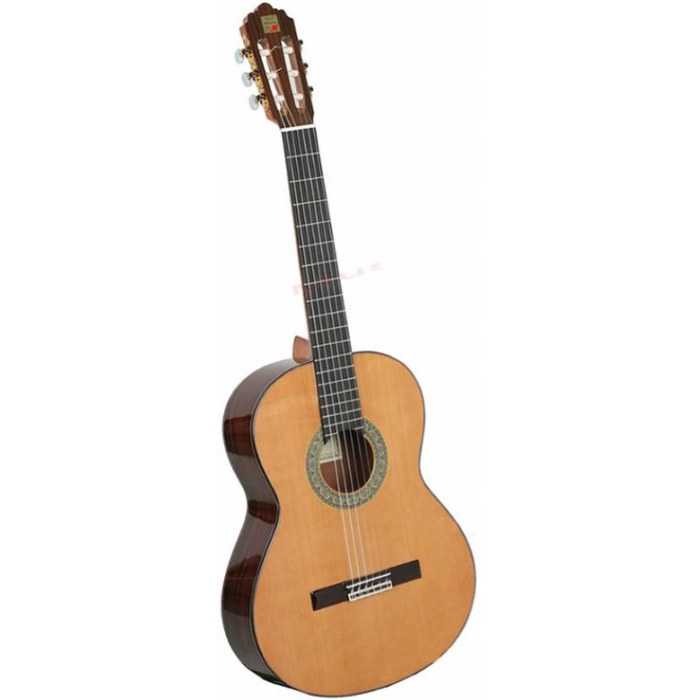 Alhambra 5P + gig bag