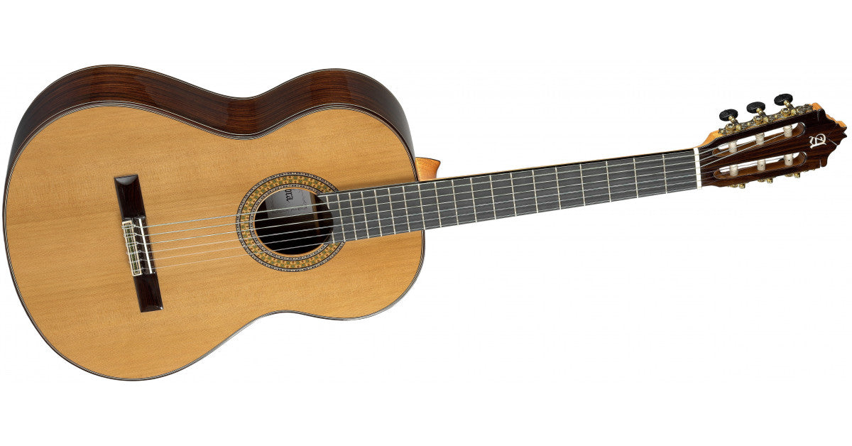 Alhambra 9PA + gig bag