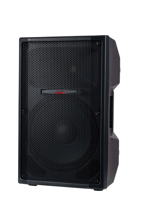 AUDIODESIGN T-MAX EVO 12