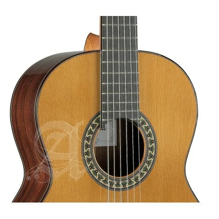 Alhambra 5PA+ gig bag