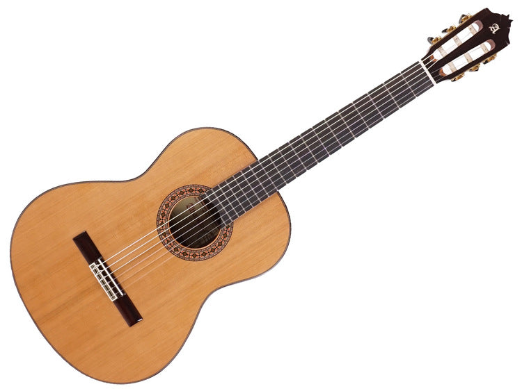 Alhambra 8P + gig bag