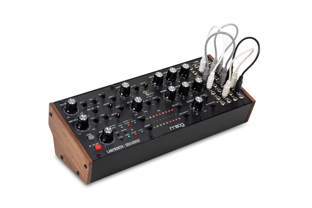 MOOG MUSIC Labyrinth