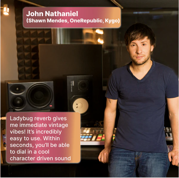 Safari Audio LadyBug Reverb