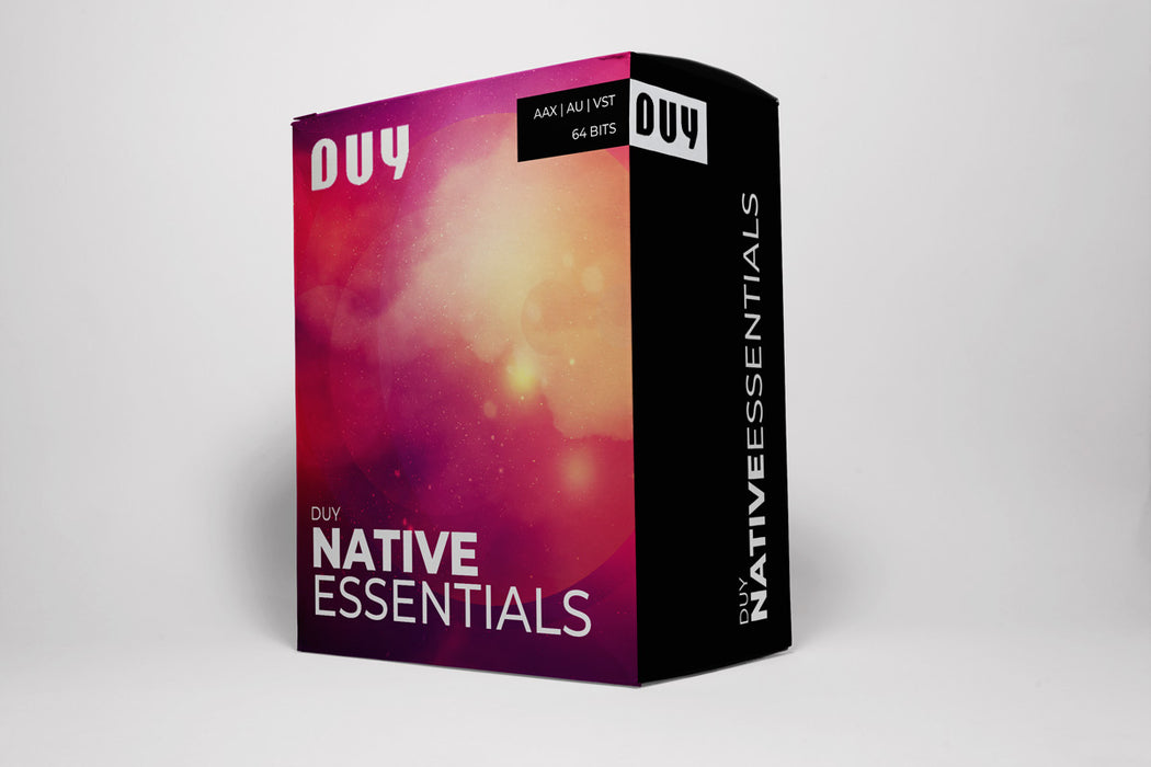 Dspatial SL DUY Essentials
