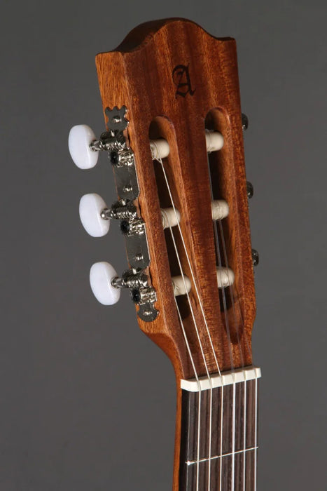 Alhambra Z-Nature CW EZ + gig bag