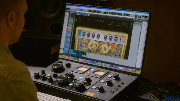 Safari Audio Twin Panda Amp