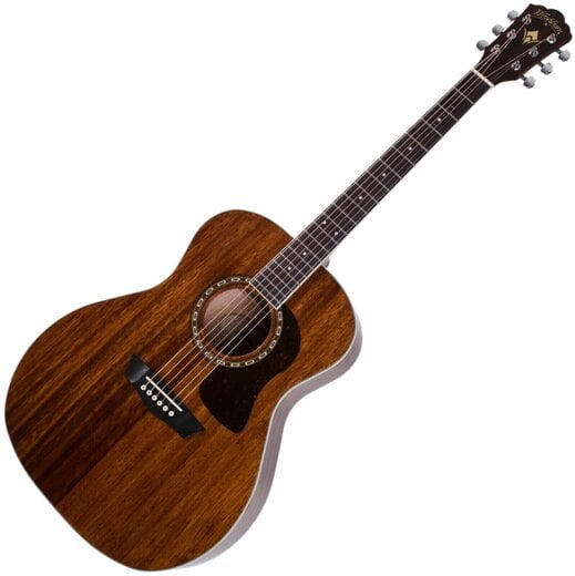 WASHBURN HG 12 S