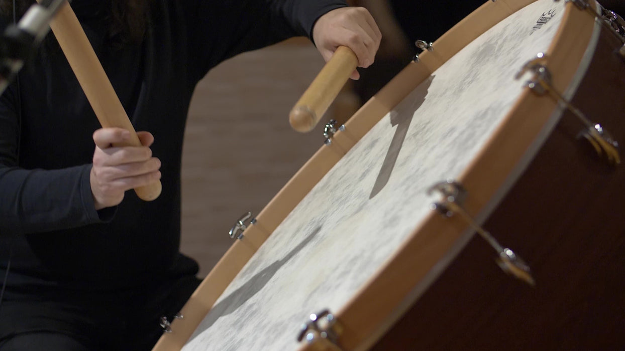 Vienna Symphonic Library Big Bang Orchestra Riffs