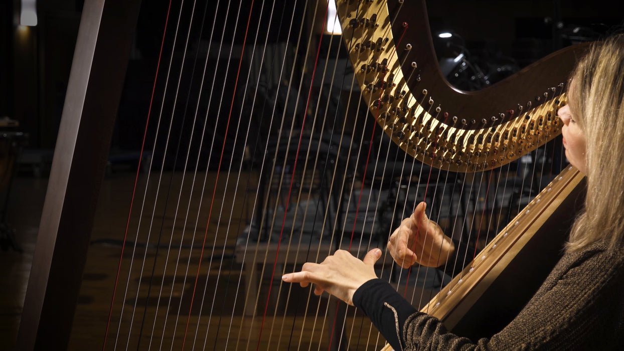 Vienna Symphonic Library Synchron Prime Harp
