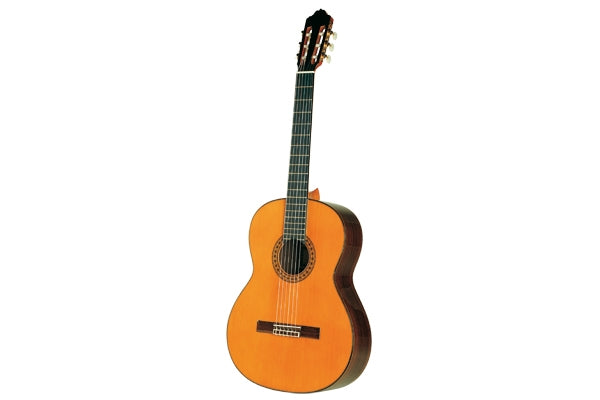 Esteve Mod.8 (Top Abete) Chitarra Classica