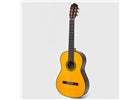 Esteve Torres Chitarra Classica