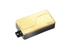 Fishman Fluence Modern Humbucker Alnico 6 Corde Gold