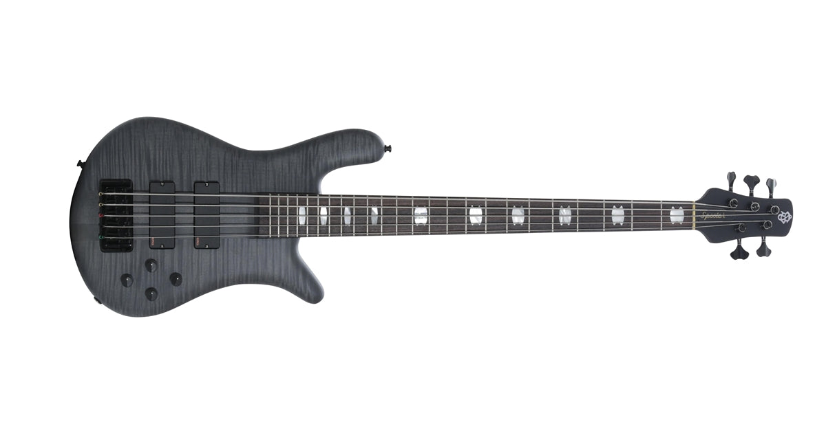 Spector Euro5 LX Trans Black Stain Matte