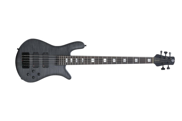 Spector Euro5 LX Trans Black Stain Matte