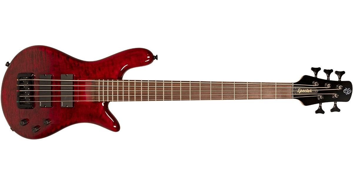 Spector Bantam 5 Black Cherry Gloss