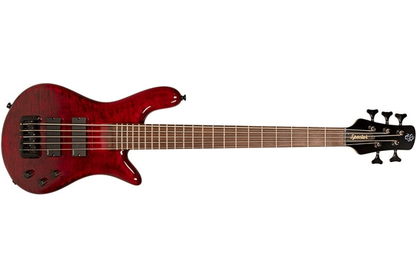 Spector Bantam 5 Black Cherry Gloss