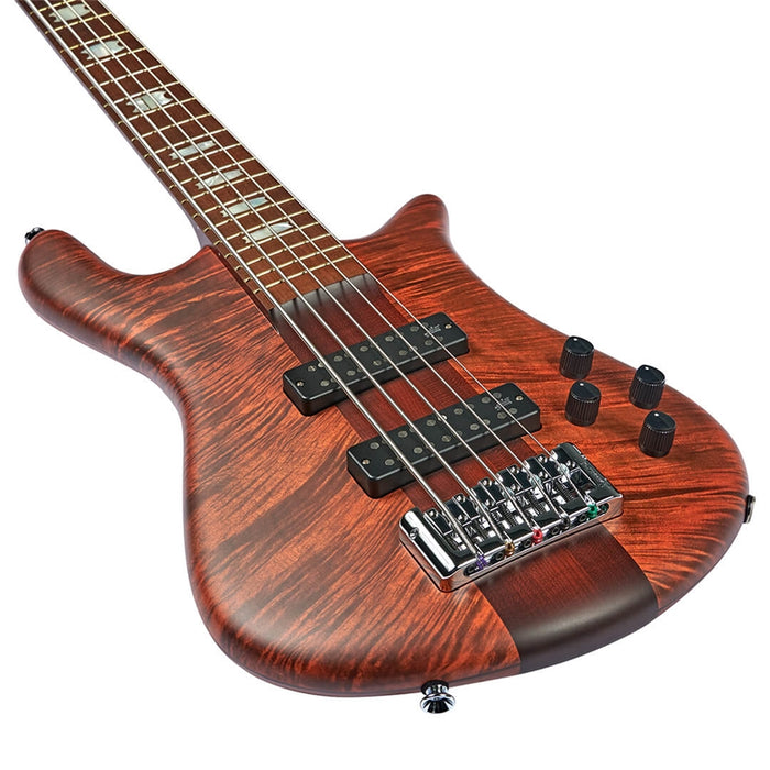 Spector NS Euro 5 RST Sienna Stain Matte