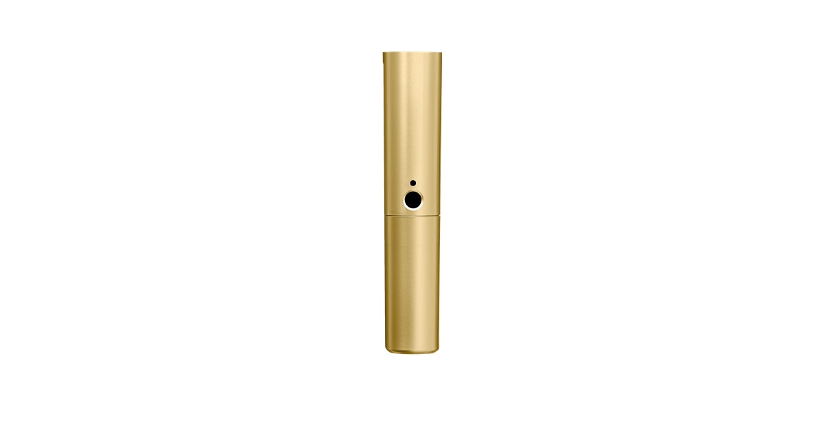 Shure WA713-GLD Corpo oro BLX2 con capsula SM58 e Beta58A