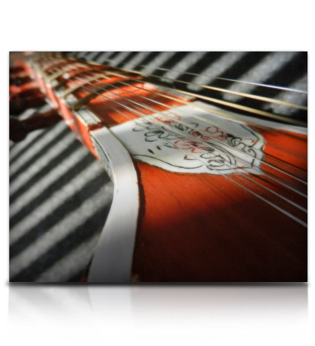 Soundiron Bizarre Sitar