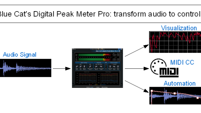 Blue Cat Audio Blue Cat DP Meter Pro