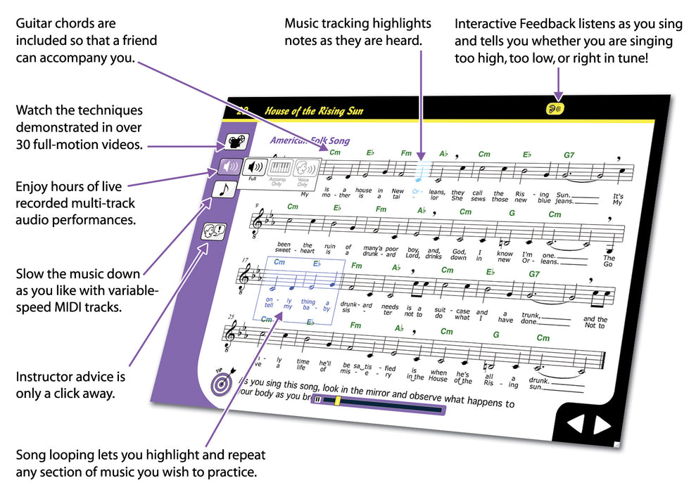 eMedia Singing For Dummies - WIN