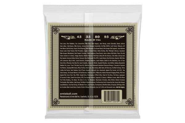 Ernie Ball 2070 Earthwood Phosphor Bronze 45-95