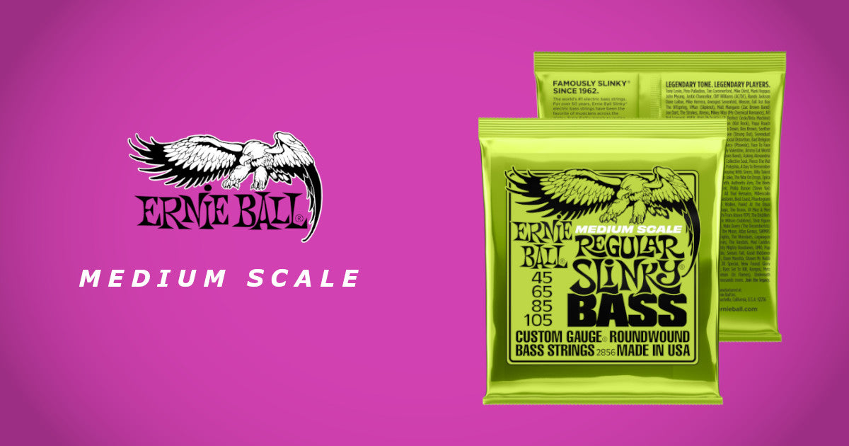 Ernie Ball 2856 Regular Slinky Nickel Wound Medium Scale