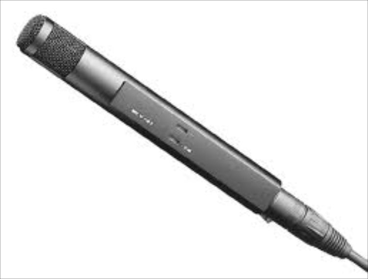 Sennheiser MKH 30 P48