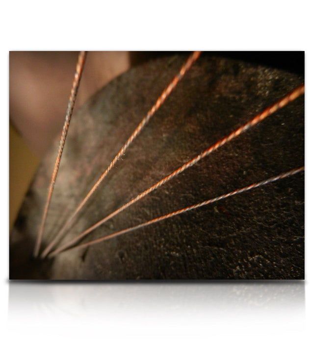 Soundiron Twine Bass