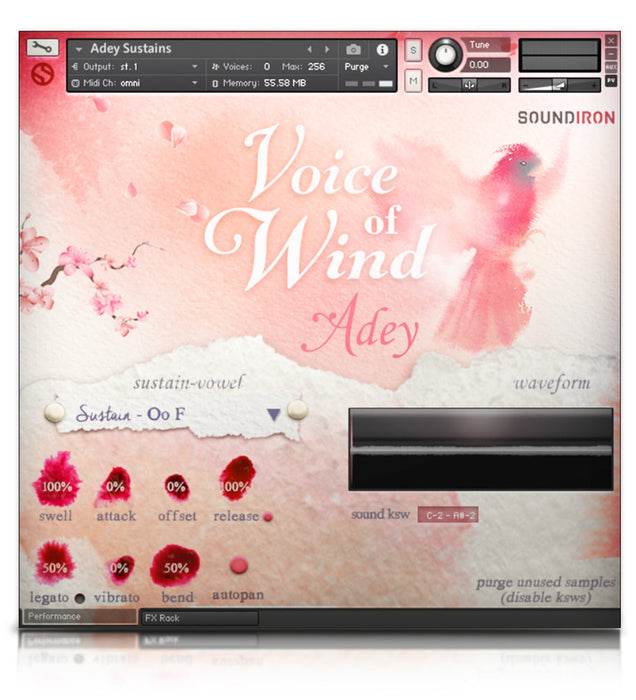 Soundiron Voice of Wind: Adey