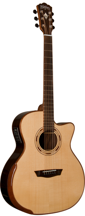 WASHBURN G25 SCE