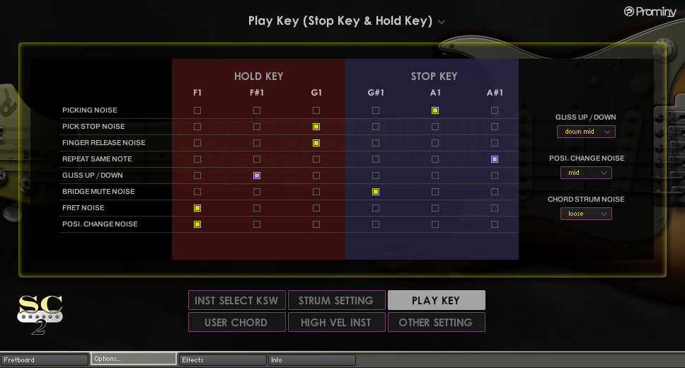 Prominy SC Electric Guitar 2