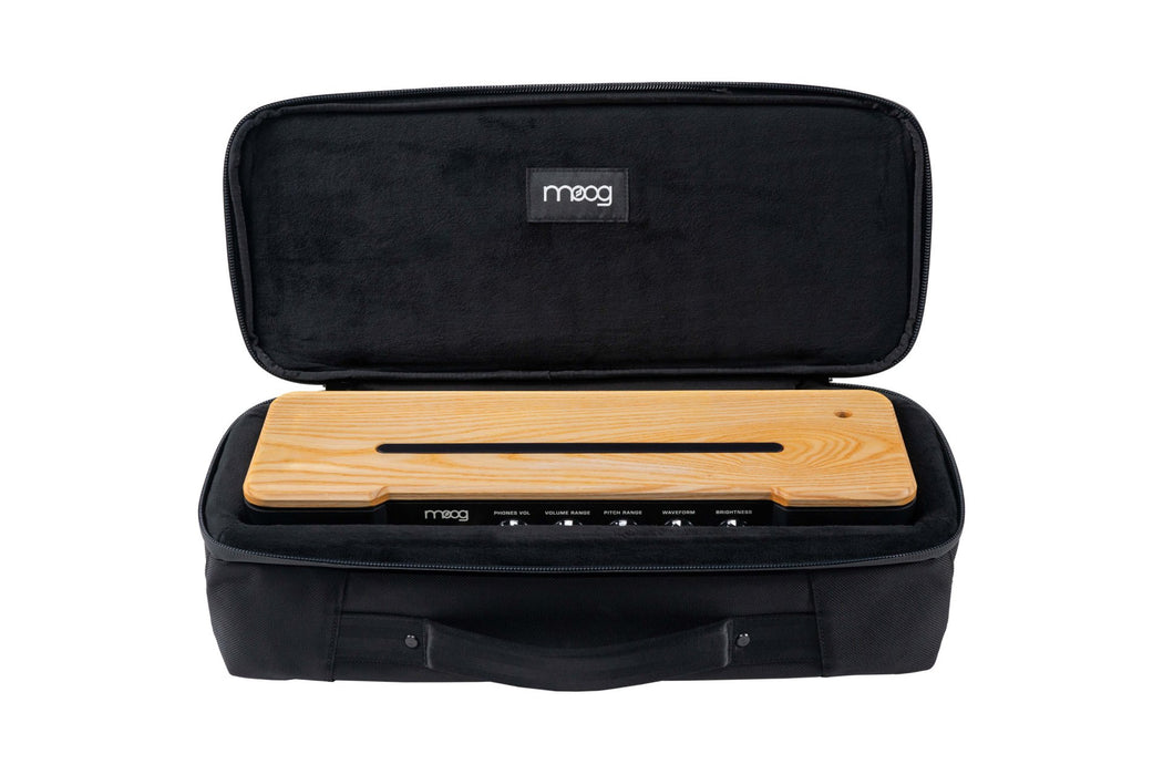 MOOG MUSIC Theremin Etherwave SR Case